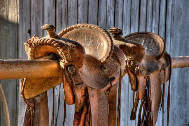 Horse Gear image